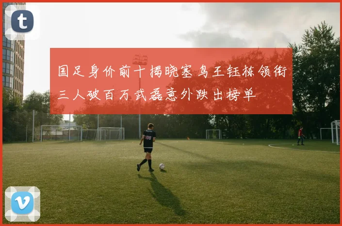 国足身价前十揭晓塞鸟王钰栋领衔三人破百万武磊意外跌出榜单