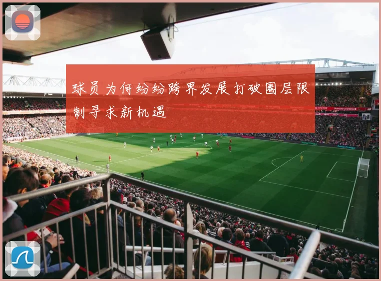 球员为何纷纷跨界发展打破圈层限制寻求新机遇