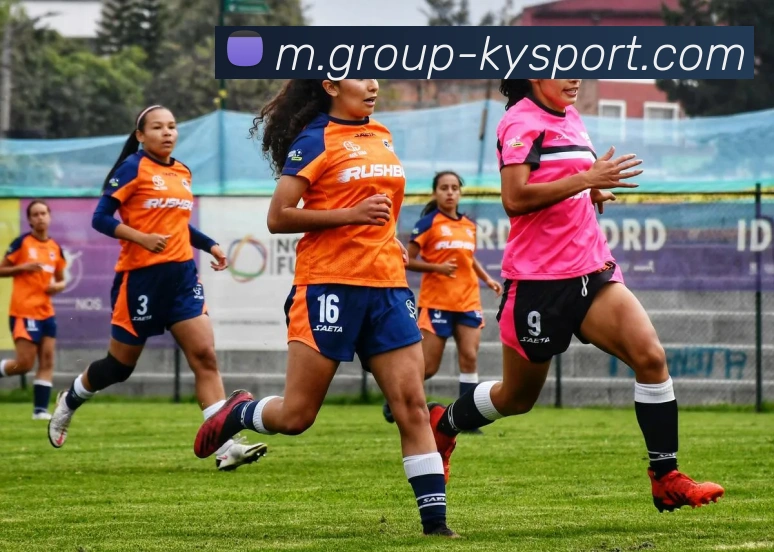 开云体育APP 封面图